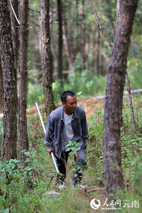 山里的人,岁月静好的田园诗篇