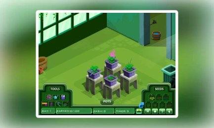 新世界1：赞德拉,赞德拉——探寻神秘大陆的奇幻之旅