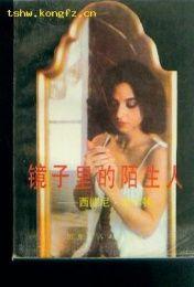 镜中陌生人,探寻陌生人的内心世界